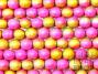 Hot Pink and Yellow Bi-Colour 8mm Round